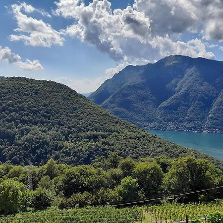 VelesoCascina Teresina别墅 外观 照片