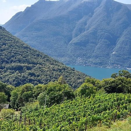 VelesoCascina Teresina别墅 外观 照片