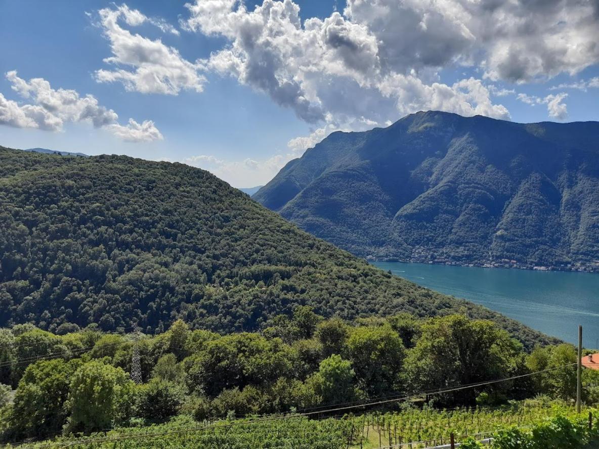 VelesoCascina Teresina别墅 外观 照片