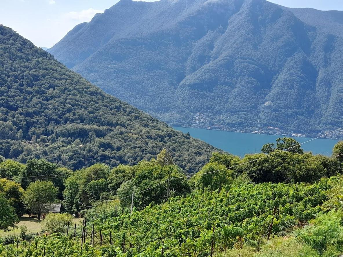 VelesoCascina Teresina别墅 外观 照片